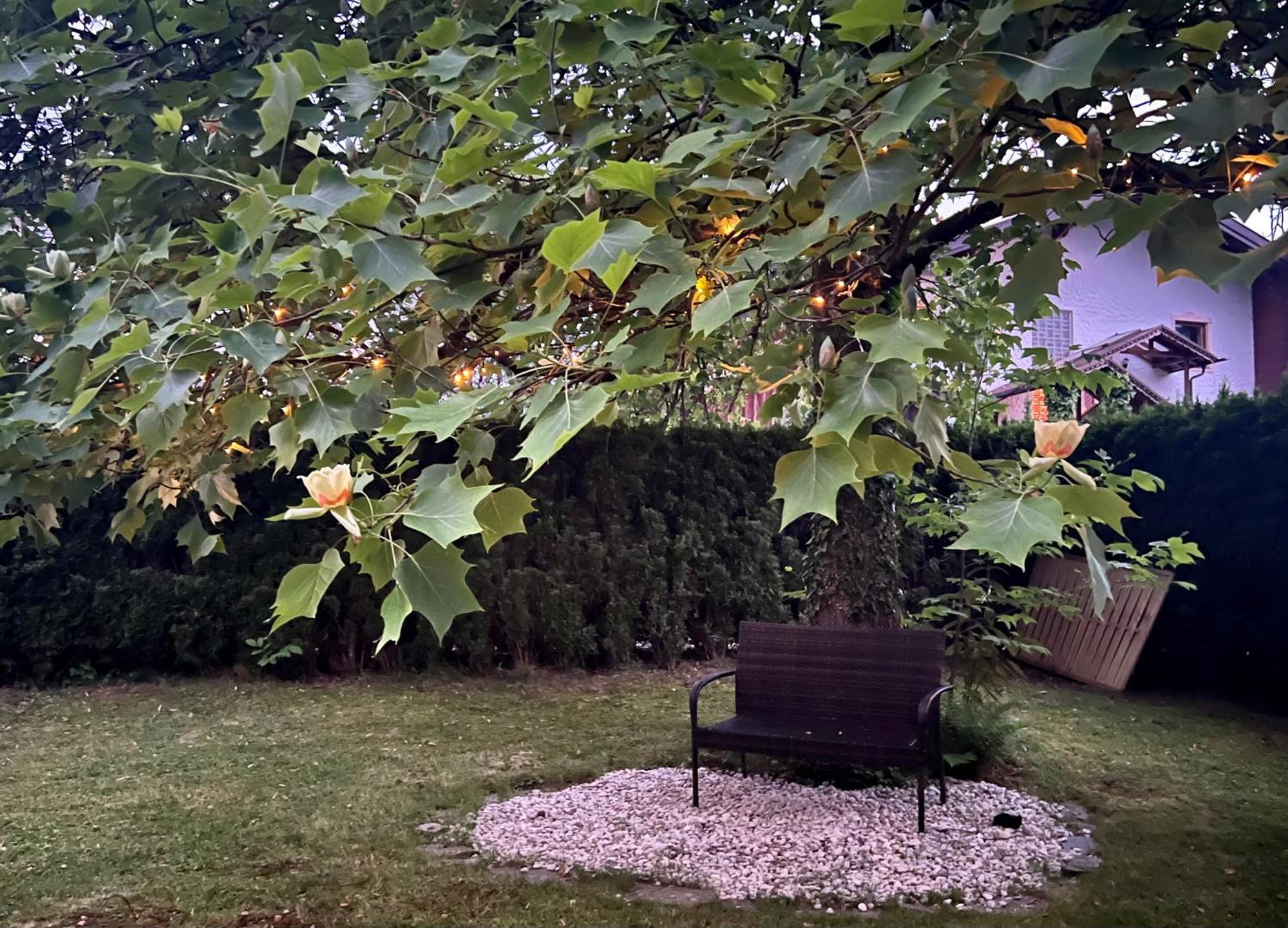 Haus Mit Garten オイゲンドルフ エクステリア 写真
